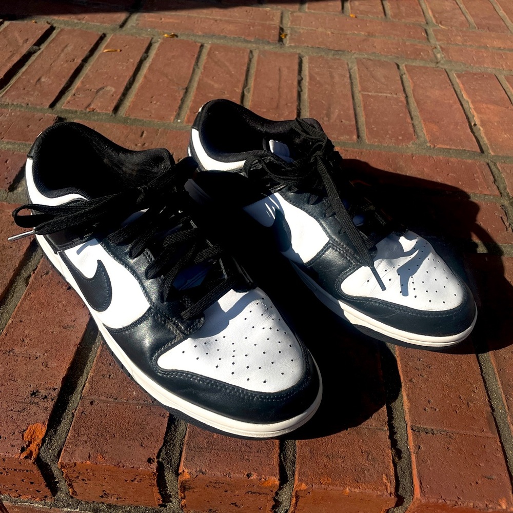 Nike Dunk Low Retro